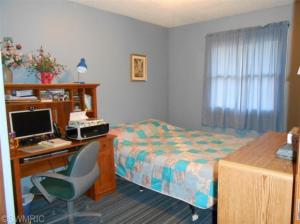 9185 Wagar, Lyons, MI 48851 photo 8