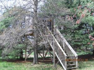 45520 24th, Mattawan, MI 49071 photo 13