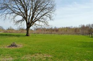 4935 Mahar Blvd, Belding, MI 48809 photo 19