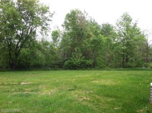 5701 Flat River Trl, Belding, MI 48809 photo 14