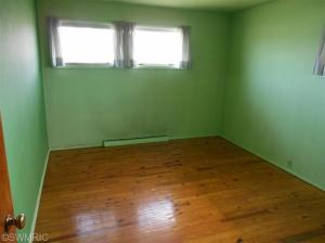 9343 Belding Rd, Belding, MI 48809 photo 14