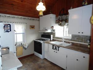 5155 N Red Maple Dr, Irons, MI 49644 photo 3