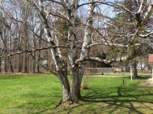 1930 E Coral Rd, Edmore, MI 48829 photo 3