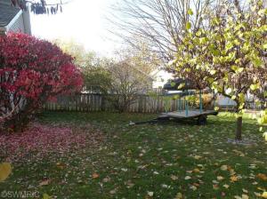 220 Hicks Ave, Plainwell, MI 49080 photo 15