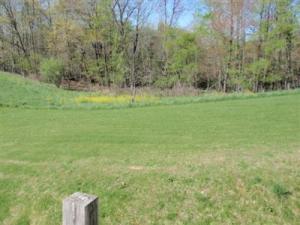 15410 Stevens St, Marcellus, MI 49067 photo 16