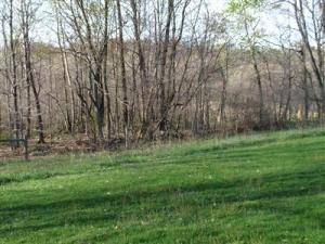 15410 Stevens St, Marcellus, MI 49067 photo 15