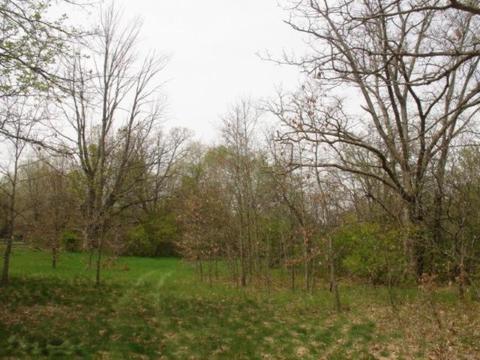 463 E 64th St, Newaygo, MI 49337 photo 4