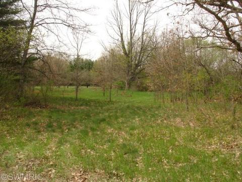 463 E 64th St, Newaygo, MI 49337 photo 1