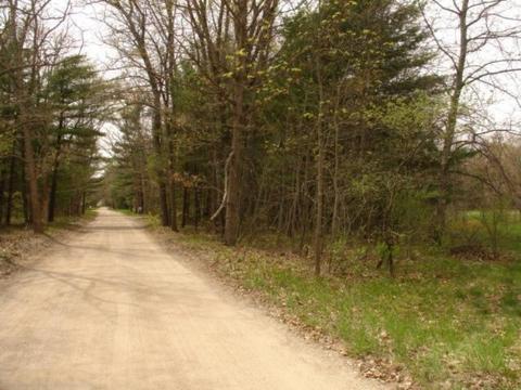463 E 64th St, Newaygo, MI 49337 photo 2