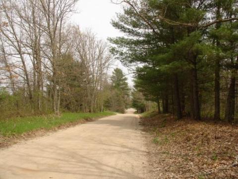463 E 64th St, Newaygo, MI 49337 photo 3