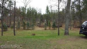 1460 W Pine Tree Rd, Baldwin, MI 49304 photo 7