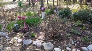 11343 Benson Rd, Manistee, MI 49660 photo 6