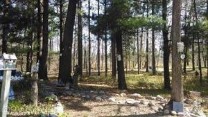 11343 Benson Rd, Manistee, MI 49660 photo 10