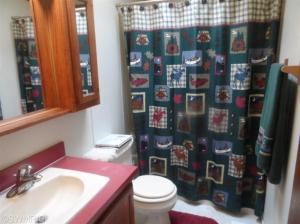 288 E 24th St, Baldwin, MI 49304 photo 13