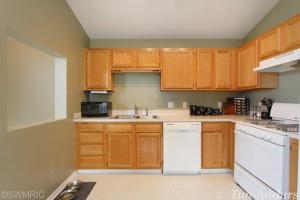 103 Pine Meadow Dr, Belding, MI 48809 photo 7