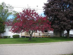 1191 Beech, Sumner, MI 48889 photo 3