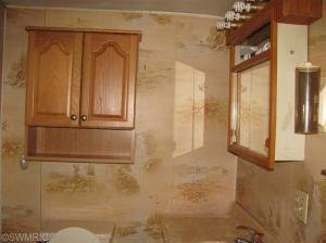 1191 Beech, Sumner, MI 48889 photo 15