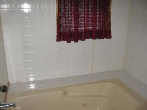 1191 Beech, Sumner, MI 48889 photo 16