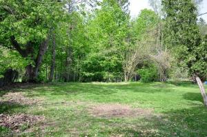 209 E Van Buren St, Gobles, MI 49055 photo 20