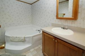 55831 Ruggles Rd, Three Rivers, MI 49093 photo 10