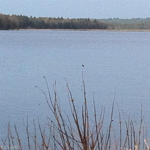 13 Piney Rd, Manistee, MI 49660 photo 2