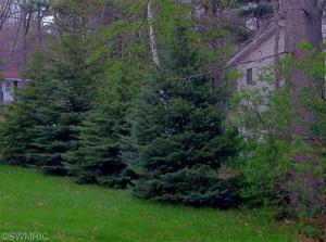 13 Piney Rd, Manistee, MI 49660 photo 21