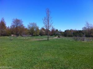 14107 Erdman, Arcadia, MI 49613 photo 8