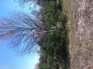 14107 Erdman, Arcadia, MI 49613 photo 14