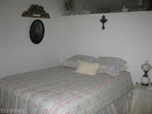 602 S Parker St, Crystal, MI 48818 photo 9