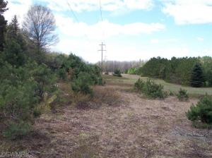 10529 S River Rd, Evart, MI 49631 photo 1