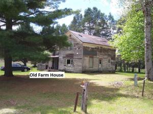 10529 S River Rd, Evart, MI 49631 photo 16