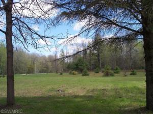 10529 S River Rd, Evart, MI 49631 photo 11