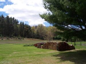 10529 S River Rd, Evart, MI 49631 photo 9