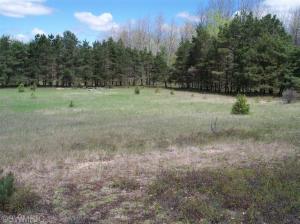 10529 S River Rd, Evart, MI 49631 photo 14