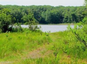 9180 S Oxeye, Baldwin, MI 49304 photo 13