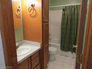 3550 E Timberview Dr, Newaygo, MI 49337 photo 10