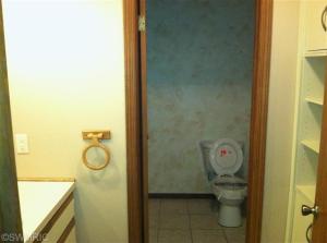 830 Water St, Belding, MI 48809 photo 14