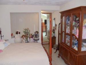 7710 Day Rd, Bellevue, MI 49021 photo 23