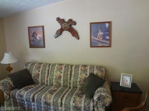490 E 82nd St, Newaygo, MI 49337 photo 9