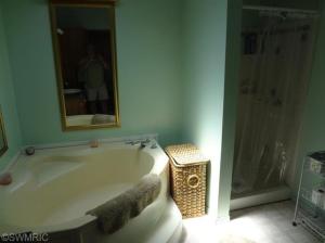 490 E 82nd St, Newaygo, MI 49337 photo 13