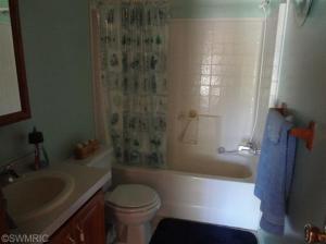 490 E 82nd St, Newaygo, MI 49337 photo 17