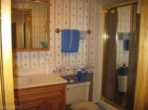 13378 Bailey Rd, Bailey, MI 49303 photo 14