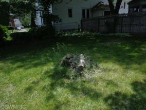 208 E Cass, Saint Johns, MI 48879 photo 3
