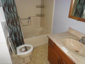 208 E Cass, Saint Johns, MI 48879 photo 17