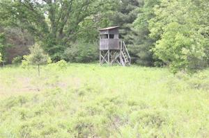 3429 E Monroe St, White Cloud, MI 49349 photo 9