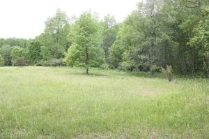 3429 E Monroe St, White Cloud, MI 49349 photo 10