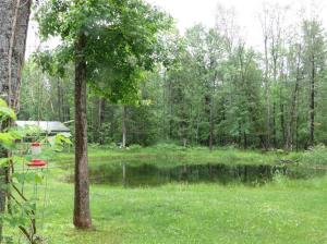 8409 E Anne Dr, Walkerville, MI 49459 photo 23