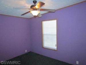 7302 Montcalm Ave, Belding, MI 48809 photo 10