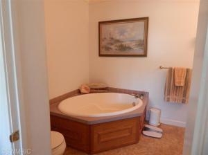 10025 Bald Hill Rd, Three Rivers, MI 49093 photo 16