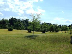 10025 Bald Hill Rd, Three Rivers, MI 49093 photo 5